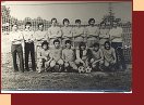 ro�n�k 1981-1982 